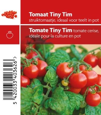 Struiktomaat rood Tiny Tim - 1 plantje