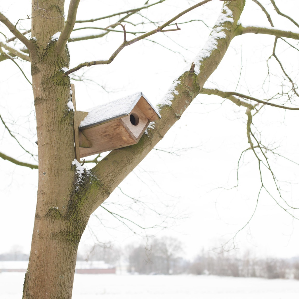 NESTKAST VOOR STEENUIL ca. 80 x 20 x 20 cm