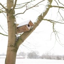 NESTKAST VOOR STEENUIL ca. 80 x 20 x 20 cm