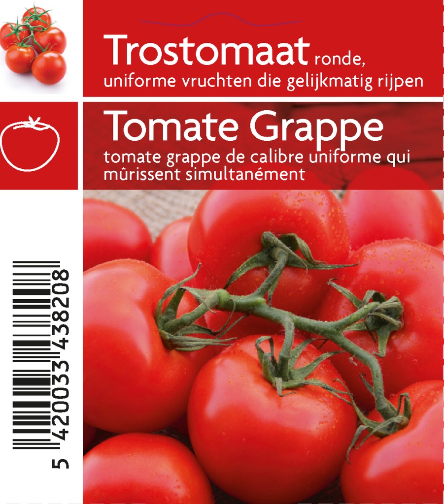 Trostomaat Premio F1 - 1 plantje