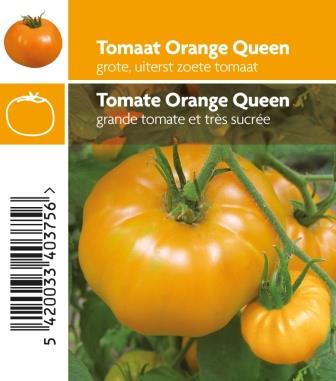 Tomaat Orange Queen - 1 plantje
