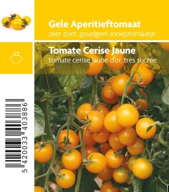 Aperitieftomaat geel Star Gold F1 - 1 plantje