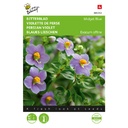 BITTERBLAD - Exacum affine - Midget Blue - ca. 10 z.