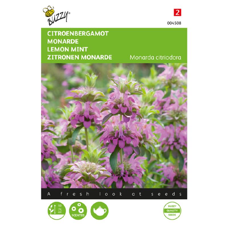 Monarda citriodora CITROENBERGAMOT - 0,15 g
