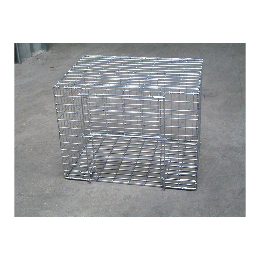 Cage Attrape Pigeon 40x30x30