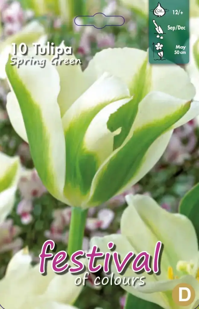 Tulipa Spring Green 12/+ (10 st)