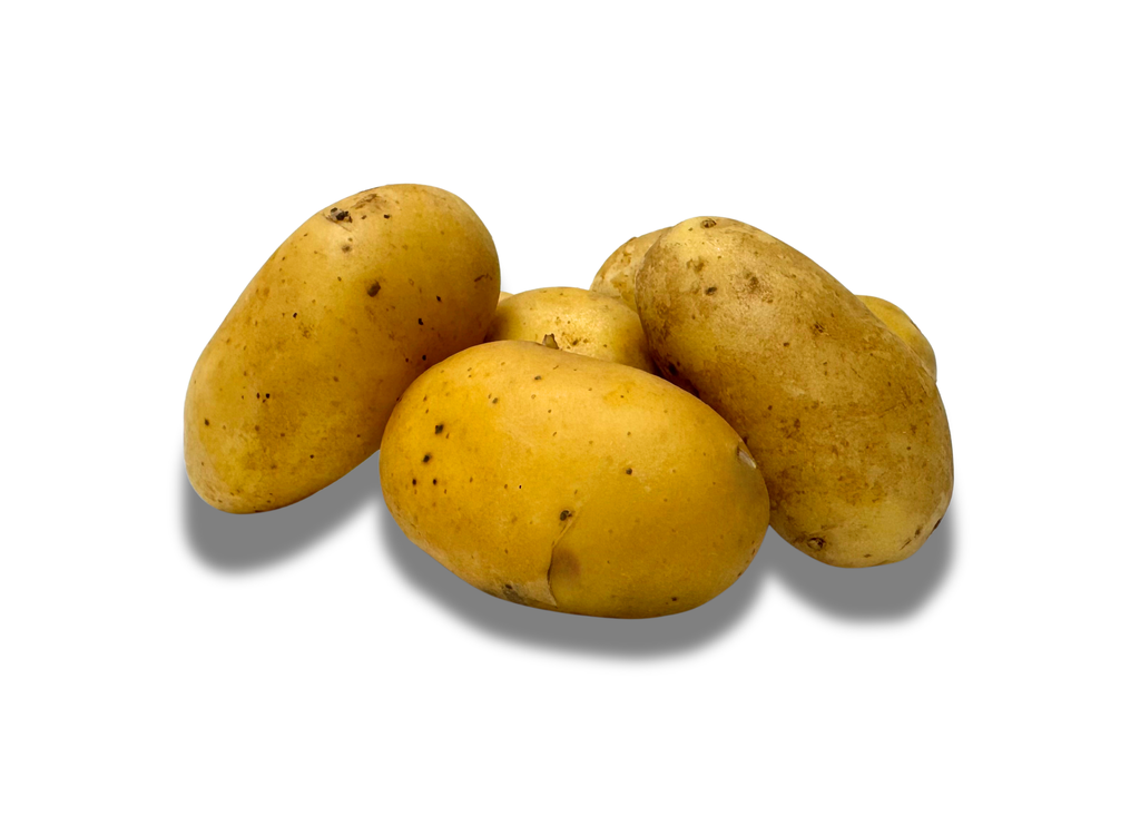 Aardappelpootgoed JAZZY klasse A 25/30 - per kg