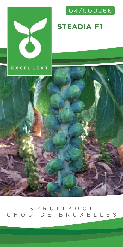 Spruitkool STEADIA F1 - ca 50 z