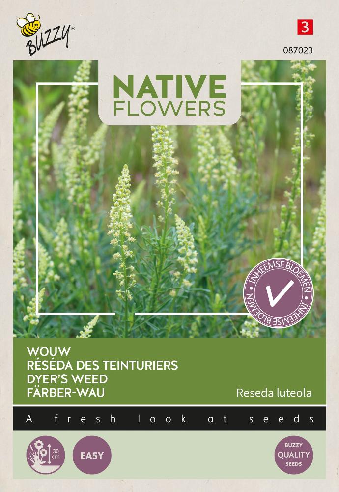 Réséda des teinturiers - ca 0.1 g