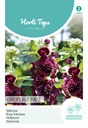 Althaea, Stokroos CHATER'S DEEP PURPLE - ca 0,25g