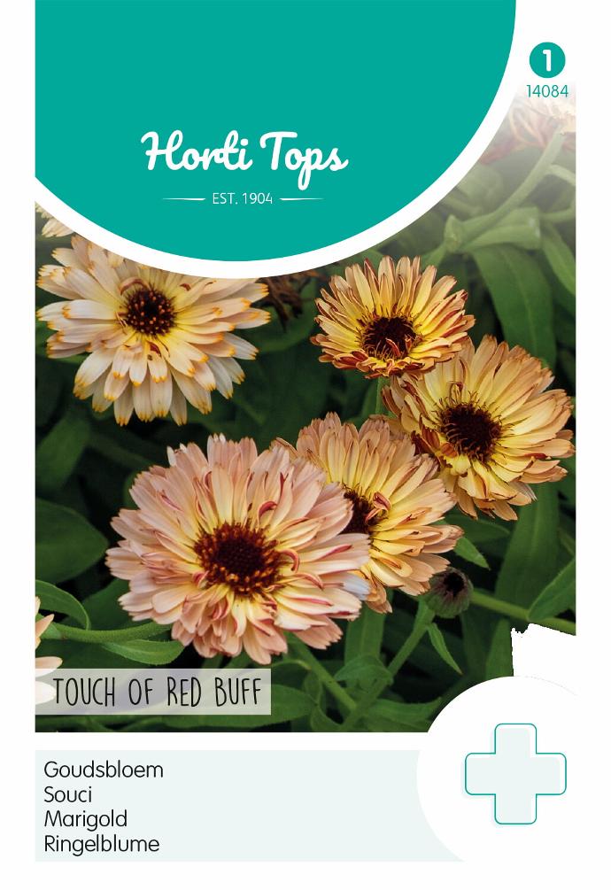 Calendula of goudsbloem TOUCH OF RED BUFF - ca 0.75 g