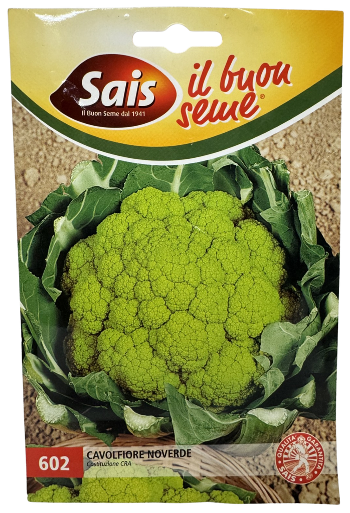 Gekleurde Bloemkool NOVERDE - ca 3g