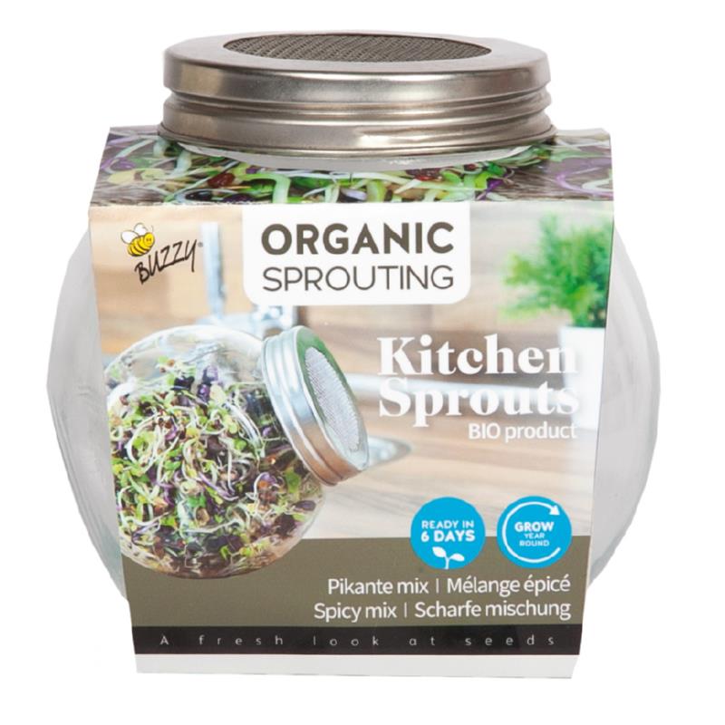 Organic Sprouting pot en verre Mélange épicé