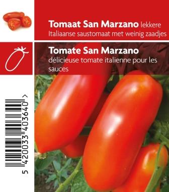 TOMANTENPLANTJE SAN MARZONO
