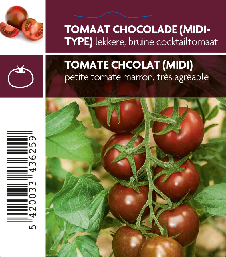Tomaat chocolade (midi-type) Bombonera F1 - 1 plantje