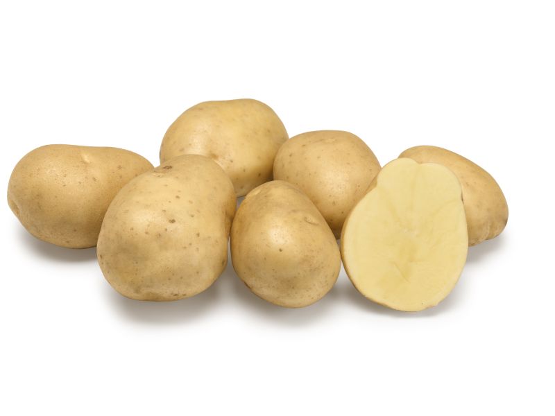 Aardappelpootgoed TRESOR klasse A 28/35 - per kg