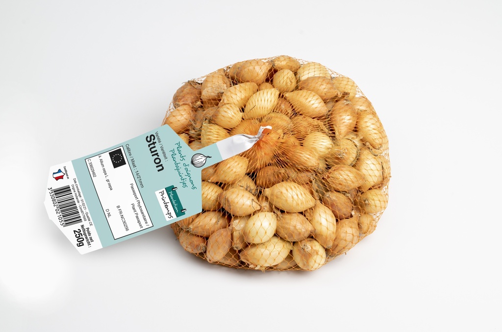 Oignon à planter STURON