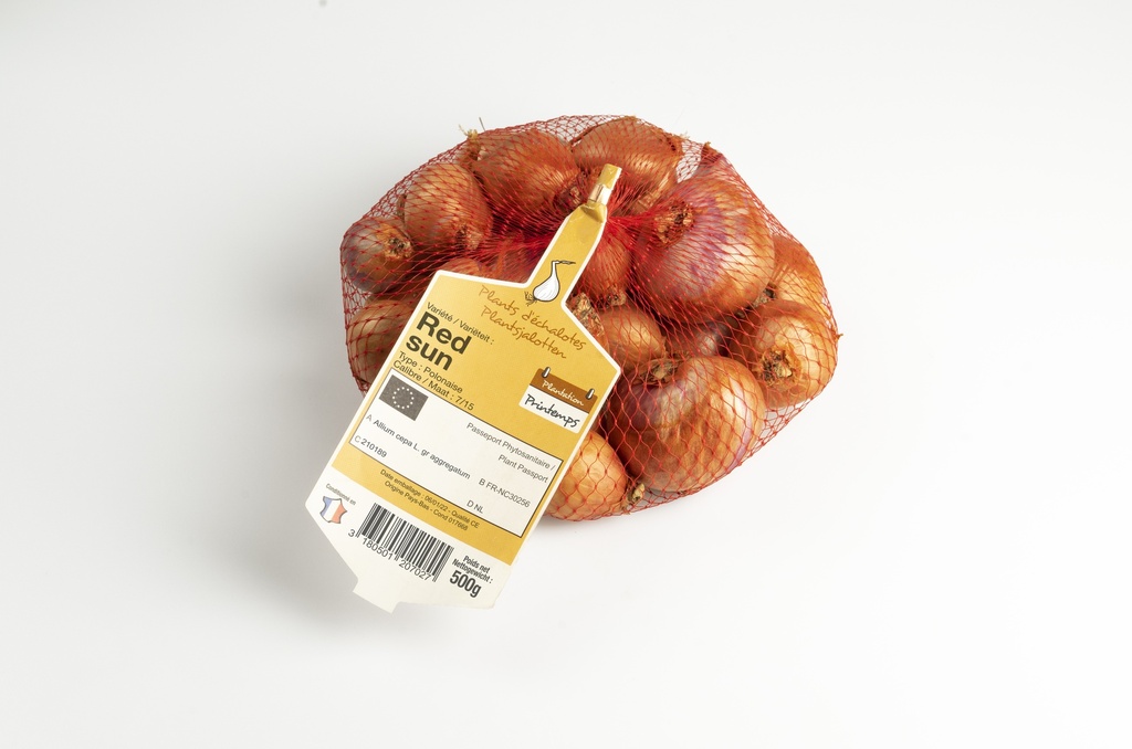 Echalot à planter RED SUN - ca. 500 g