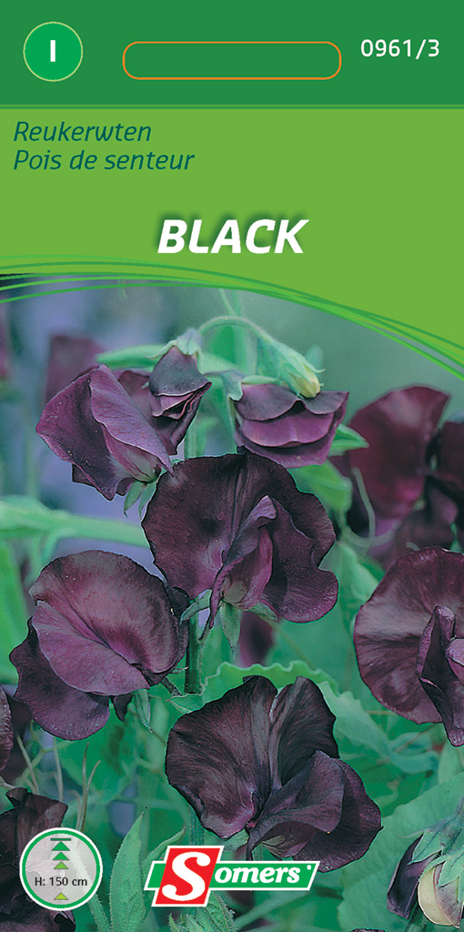 Lathyrus Odoratus - Zwarte Reukerwt - ca 3g