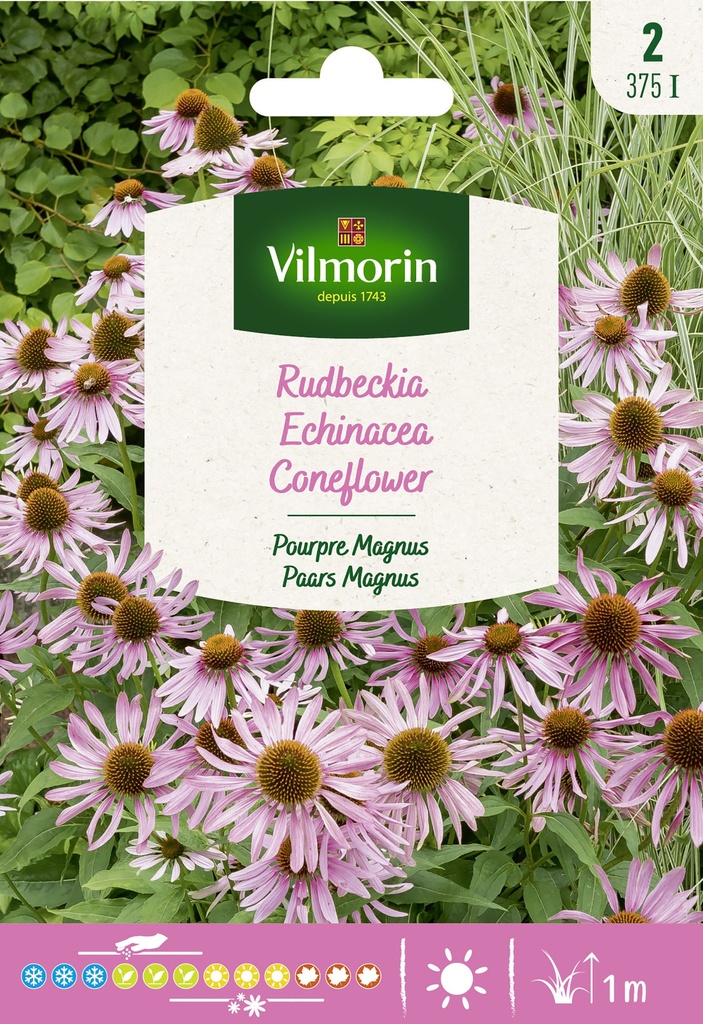 Rudbeckia PAARSE MAGNUS - ca 1g