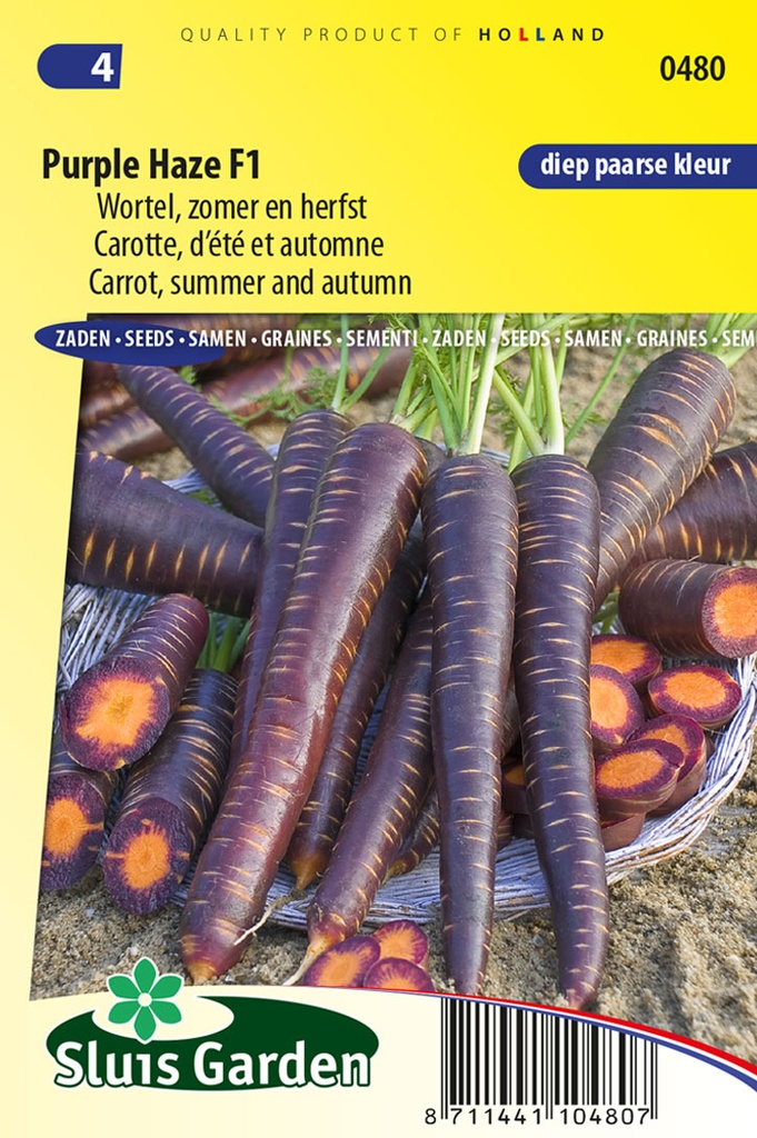 Gekleurde wortel PURPLE HAZE F1 - ca 500z
