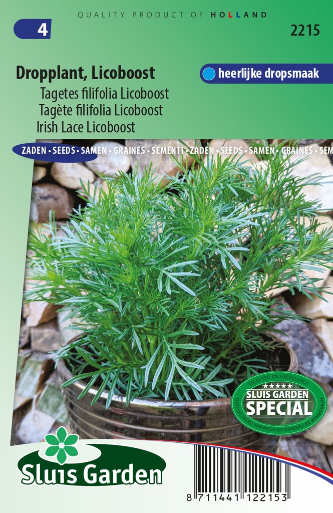 Tagetes filifolia LICOBOOST "DROPPLANT" - ca 20 z