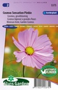 Cosmos PINKIE - ca 175 z