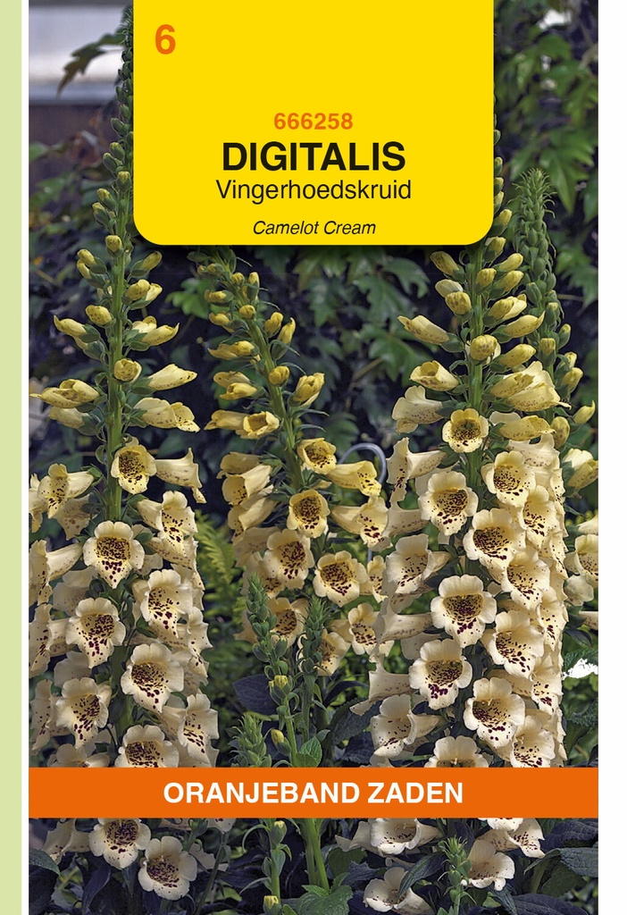 Digitalis of Vingerhoedskruid CAMELOT CREAM - ca 15 pillen