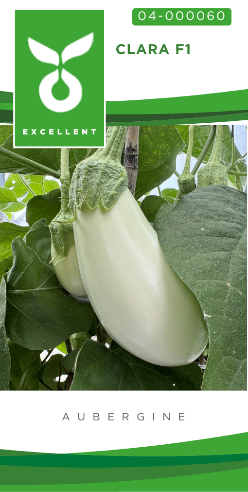 Aubergine CLARA F1 - ca 10 z