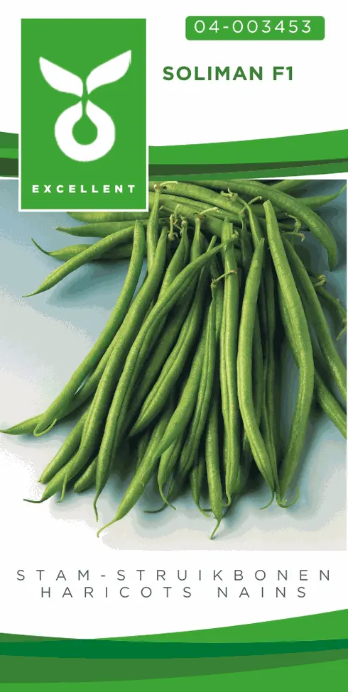 Stam- of struikbonen SOLIMAN F1 - ca 50 g
