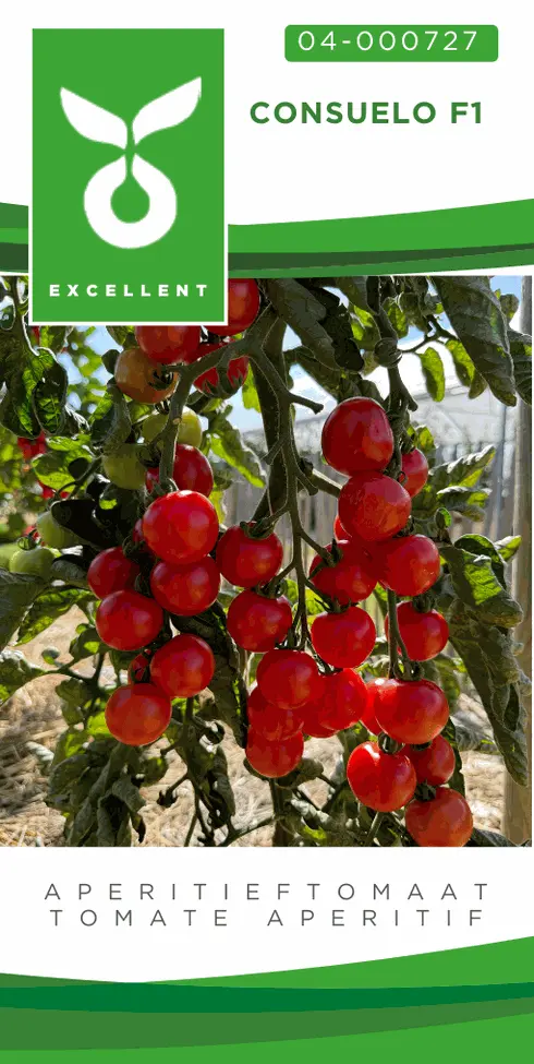Aperitieftomaat CONSUELO F1 - ca 20 z