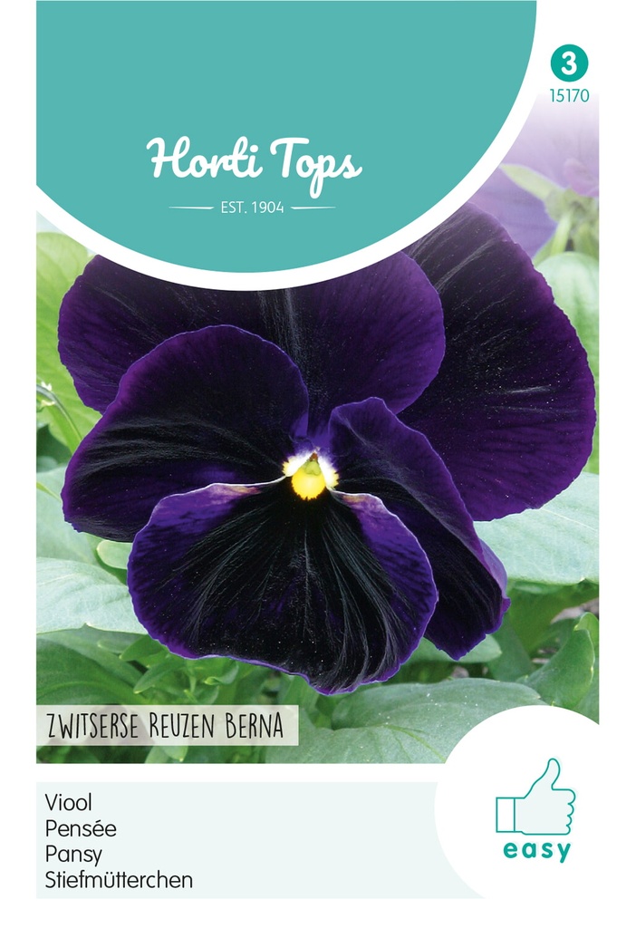 Viola of Viool ZWITSERSE REUZEN BERNA - 0,4 g