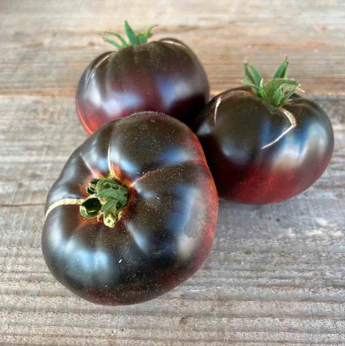 TOMATEN BLACK BEAUTY ca. 30 z.