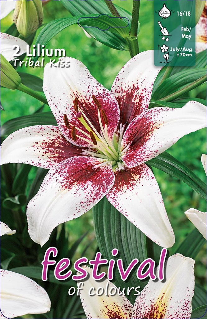 LELIES Tribal Kiss - 2 st.