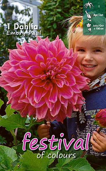 Dahlia Emory Paul - 1 st