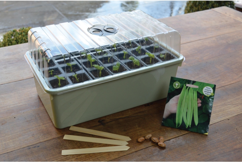 28 Cell Deep Root Succes Kit
