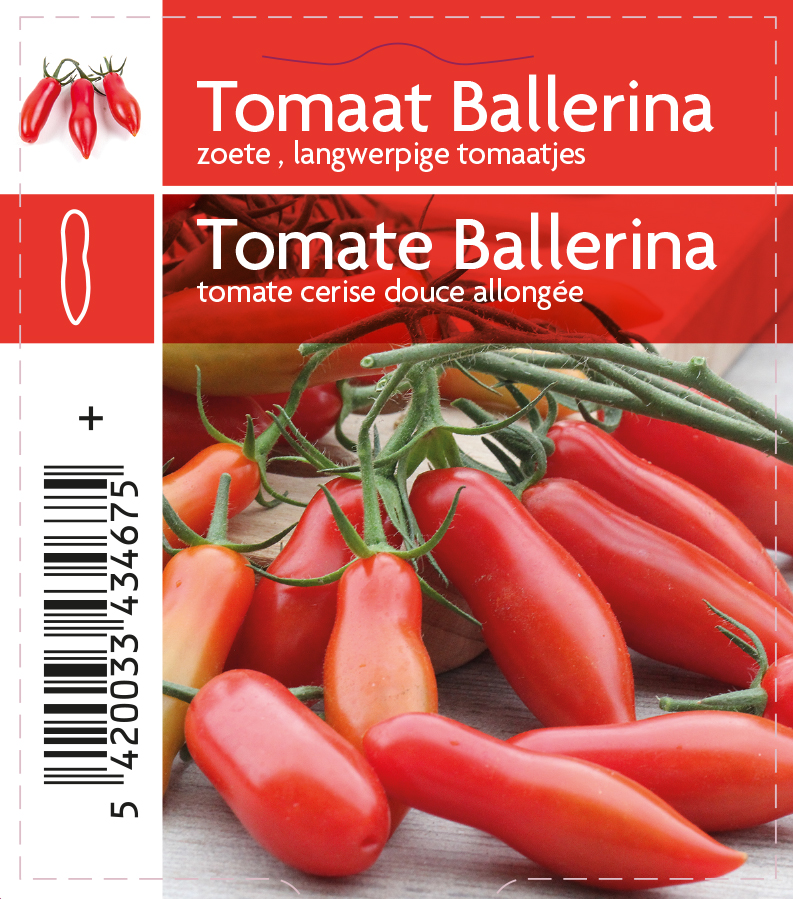 Tomaat Ballerina F1 - 1 plantje