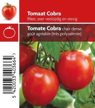 Tomaat Cobra F1 - 1 plantje