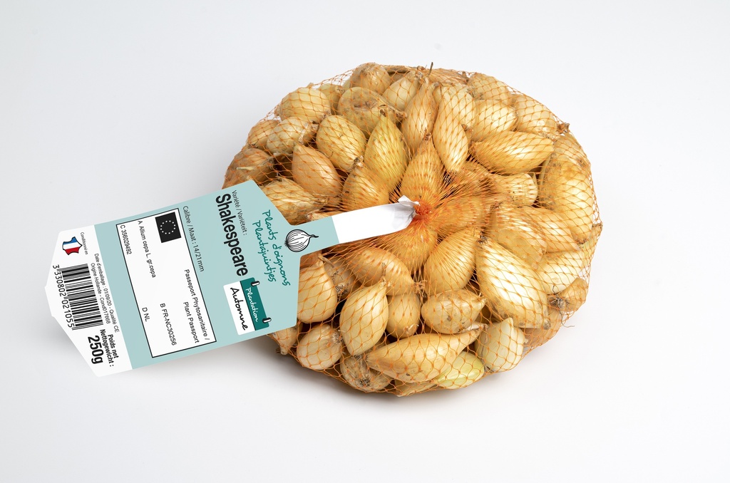 Winterplantajuin SHAKESPEARE