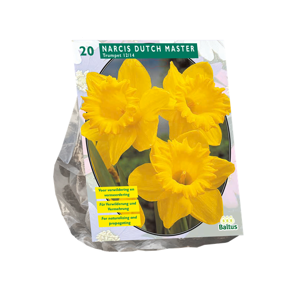 Narcissus Trumpet Geel - 15 st