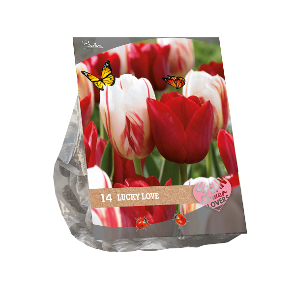 Urban Flowers Lucky Love - 14 st