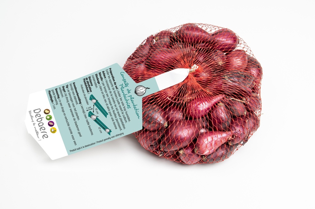 Oignon à planter hiver BLOEDRODE/RED KARMEN - ca. 500 g