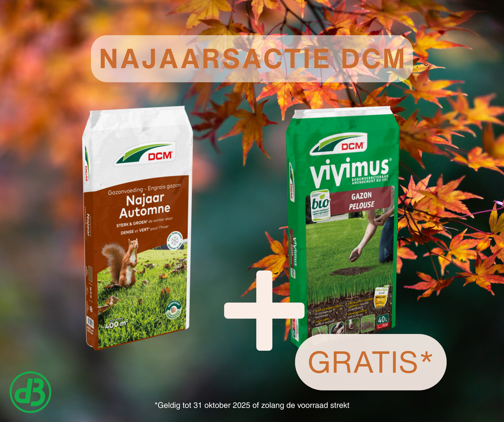 ACTIE DCM Gazonvoeding Najaar 20 kg + GRATIS DCM Vivimus® Gazon 40 L 