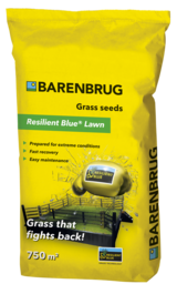Barenburg Resilient Blue Lawn Graszaad