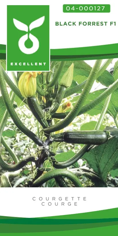 Klimcourgette BLACK FORREST - ca 7 z