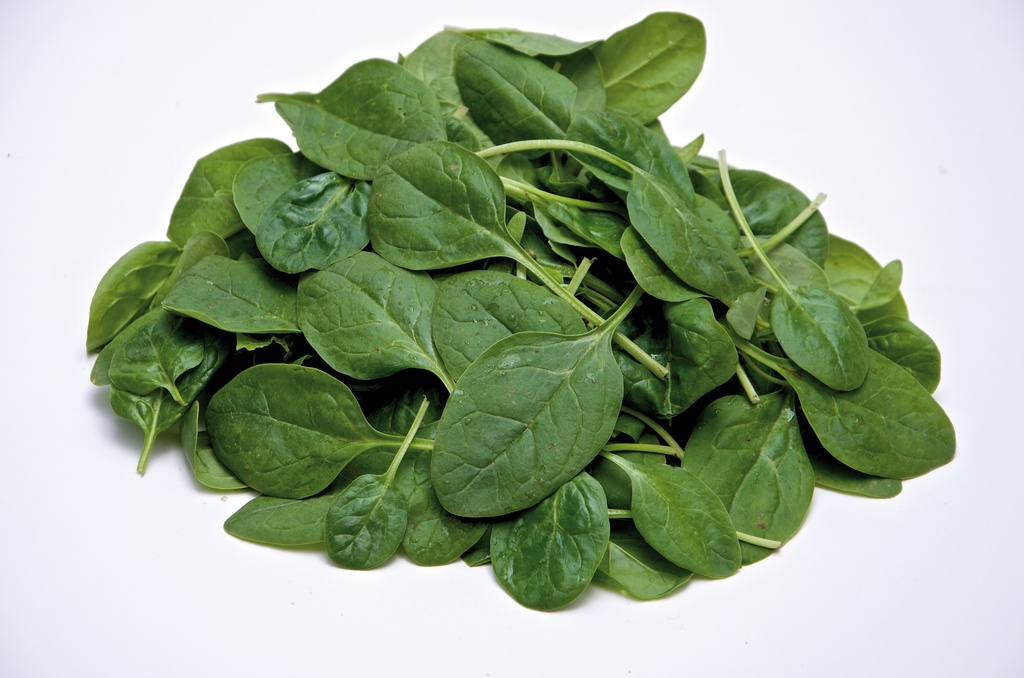 Babyleaf Spinazie SOYUZ F1 - ca 50 g