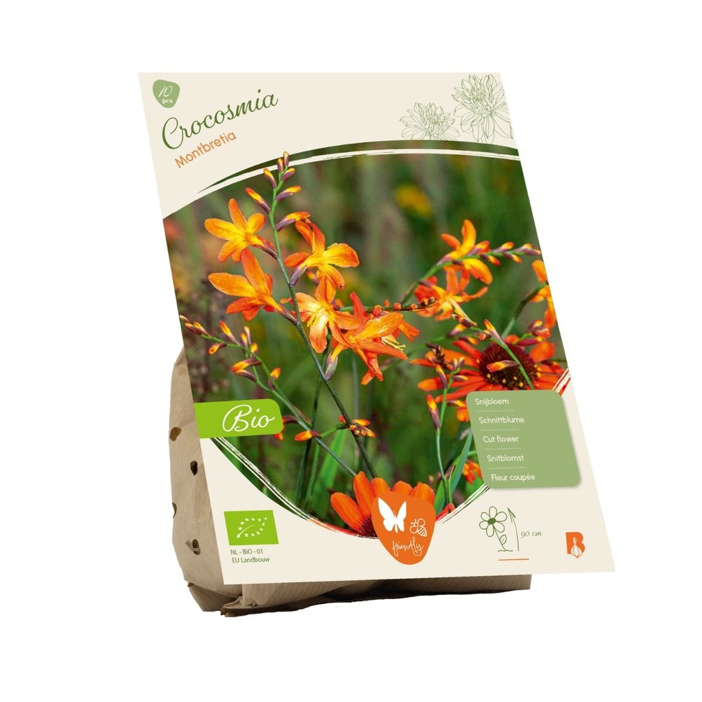 Crocosmia - 10 st (BIO)