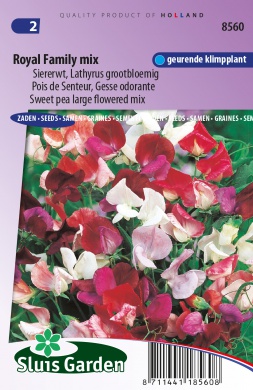 Lathyrus of Siererwt ROYAL FAMILY MIX - ca 30z