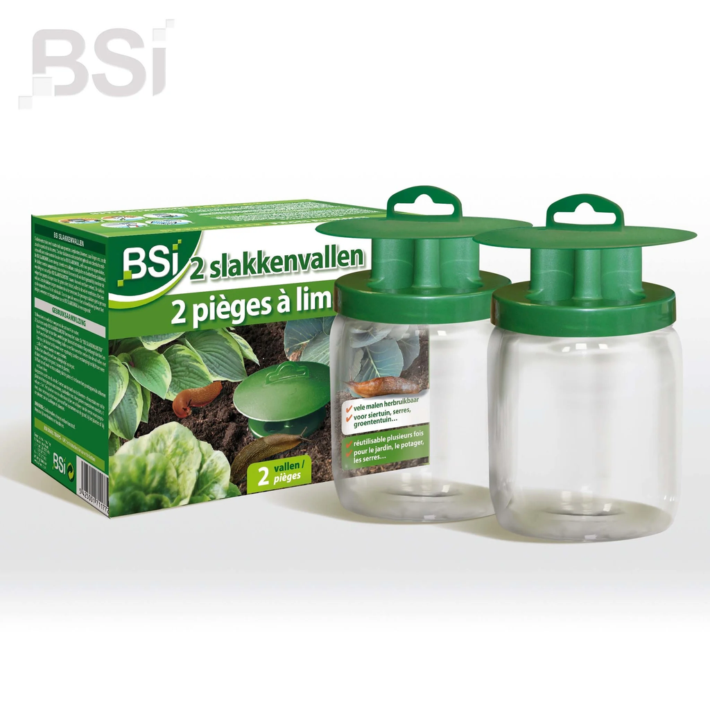BSI - 2 Slakkenvallen
