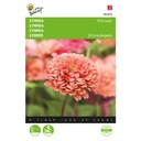 Zinnia ELDORADO - ca 125 z